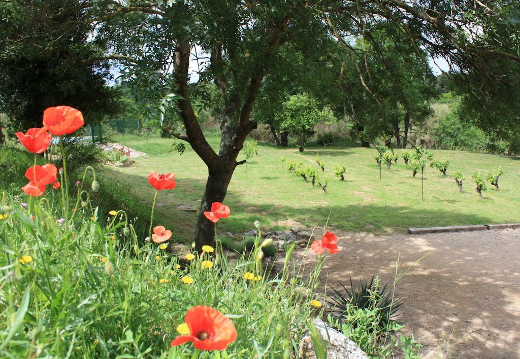Domaine De "Creva-Tinas" Bed and Breakfast Mailhac Eksteriør billede